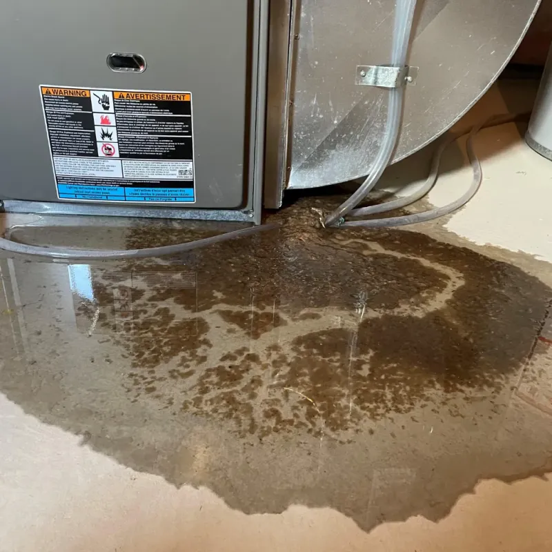 Appliance Leak Cleanup in City of Sammamish, WA