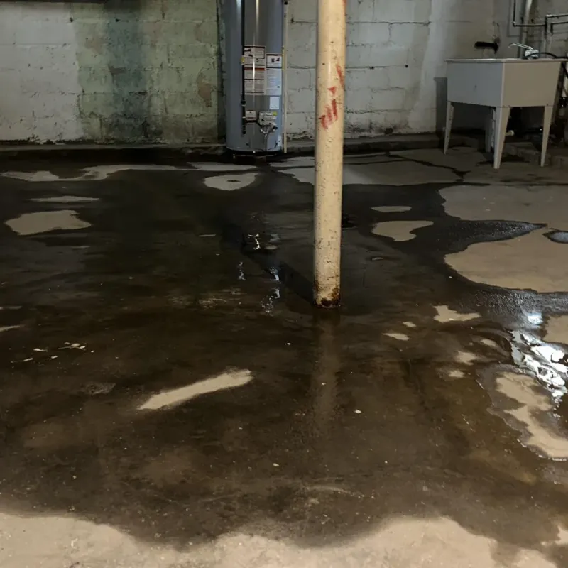 Emergency Water Extraction And Removal in City of Sammamish, WA